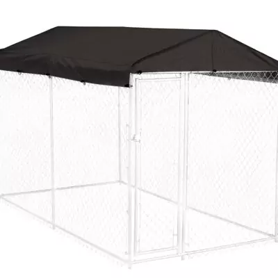 CL00301-ON-KENNEL