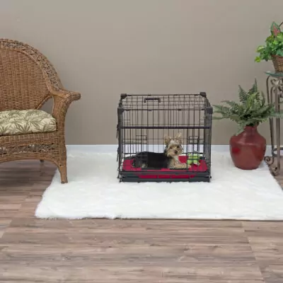 Lucky Dog 22” Sliding Double Door Dog Crate (XS)