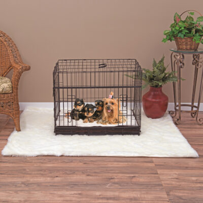 Dog crate Small