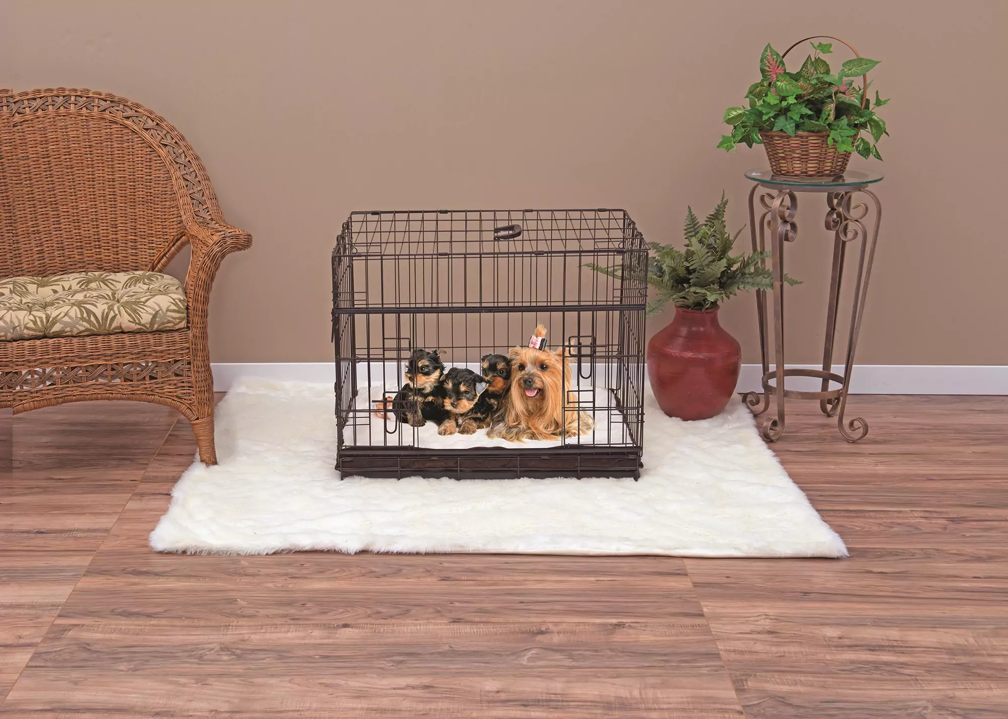 Dog Crate Small