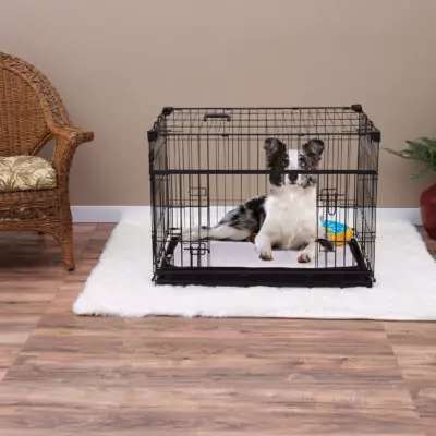 Lucky Dog 36” Sliding Double Door Dog Crate (M/L)