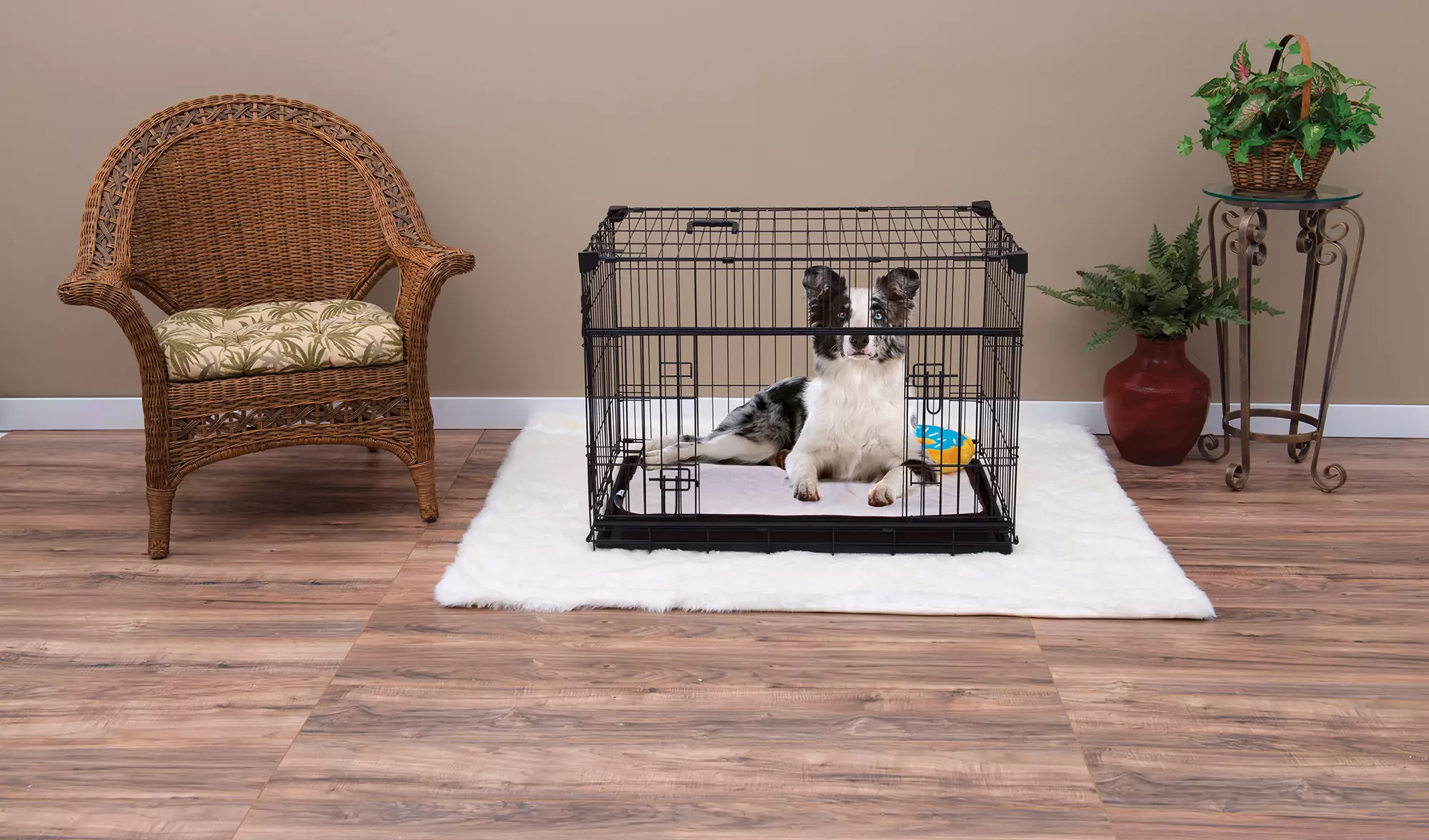 Lucky Dog 36” Sliding Double Door Dog Crate (M/L)