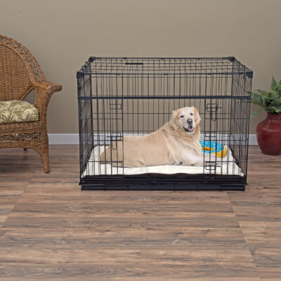 Large Dog in Crate