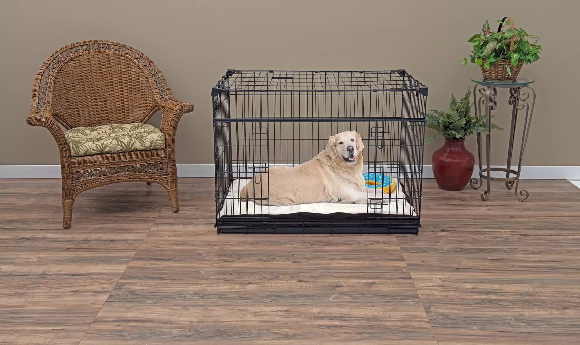 Large Dog In Crate