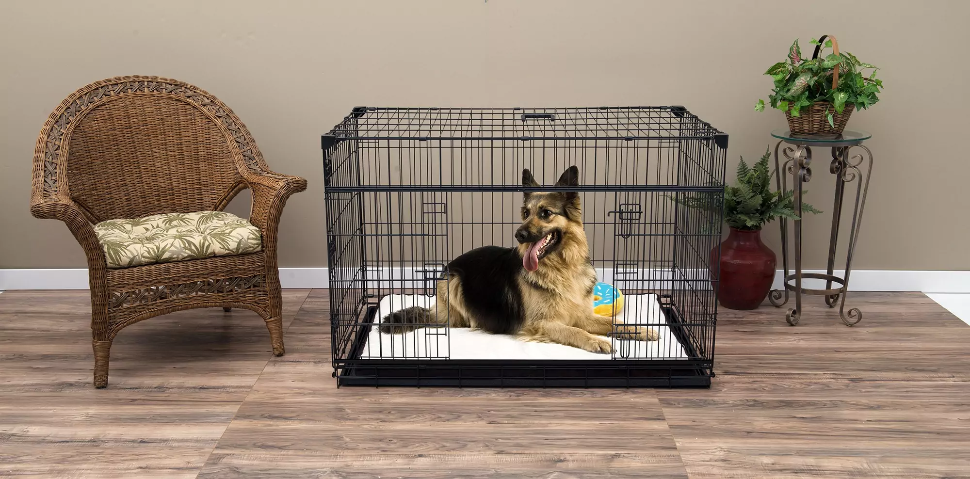 Xl Dog In Crate